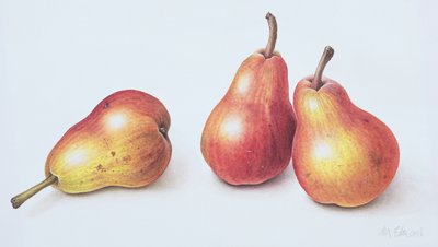 Red Pears by Margaret Ann Eden